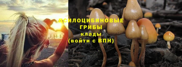 прущие крисы Алексин