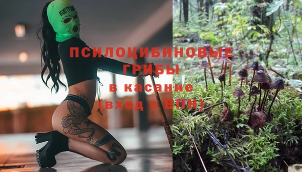 крисы Алзамай
