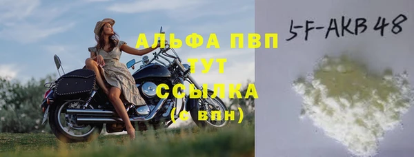 СК Кукмор
